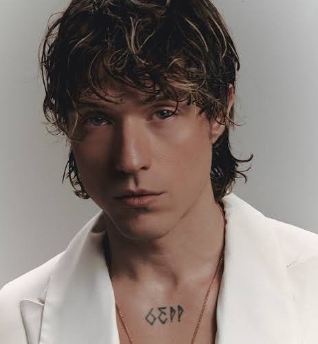 Foto promozionale del concerto
